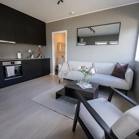 Apartment Steam - Eidhogda 6 *
